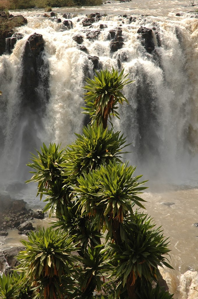 177   Etiopia